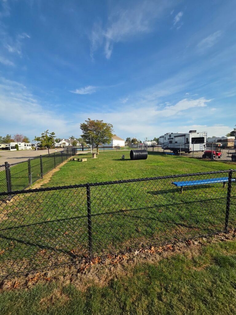 Additional photos image 7