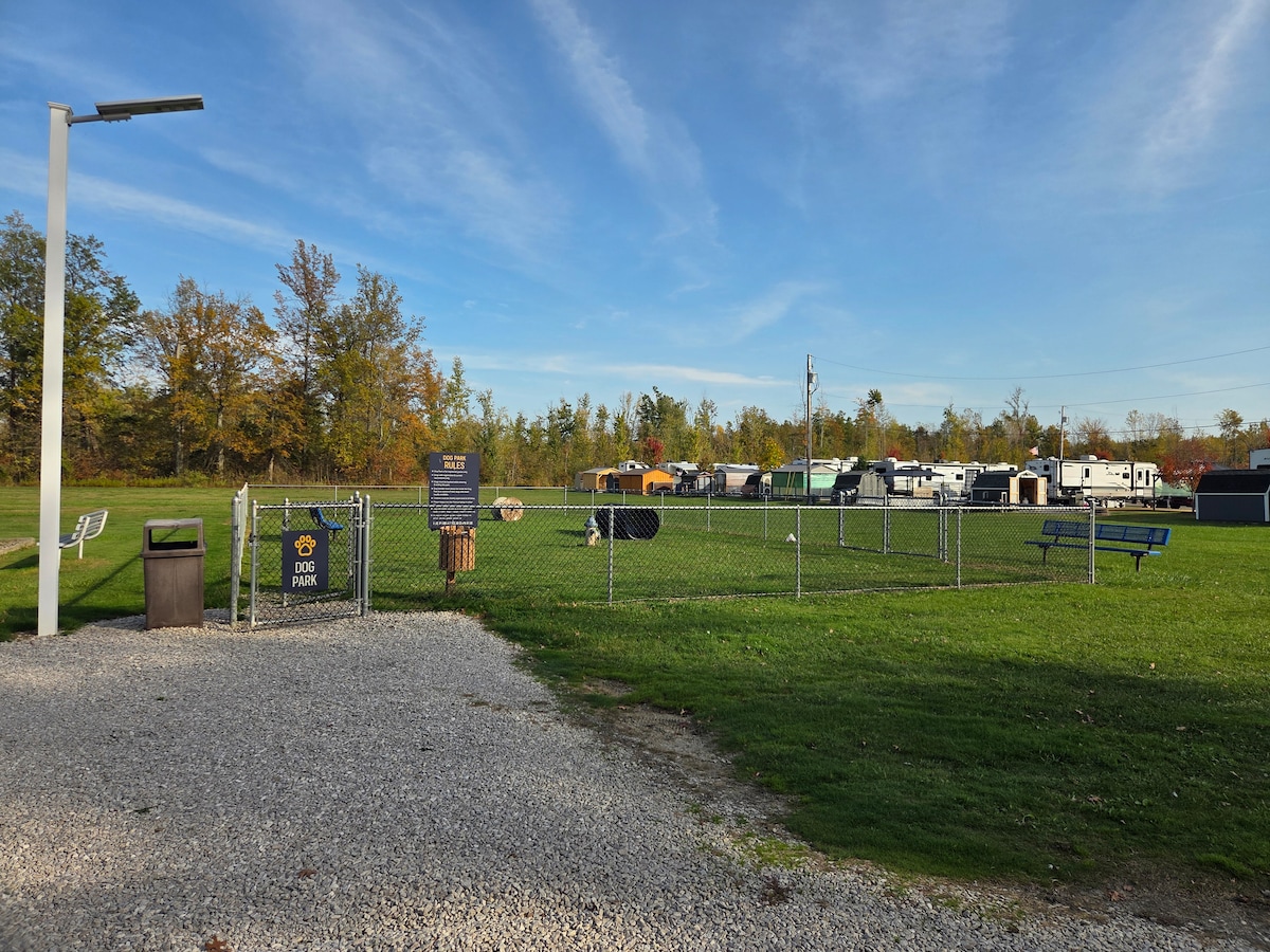 Additional photos image 8