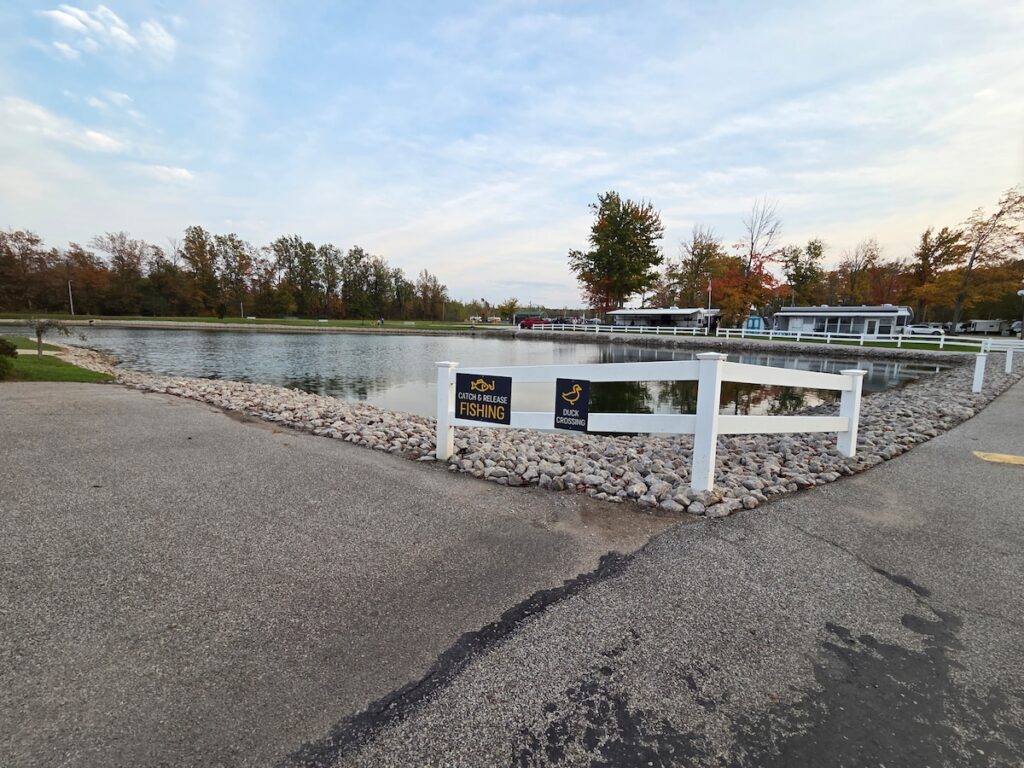 Additional photos image 11