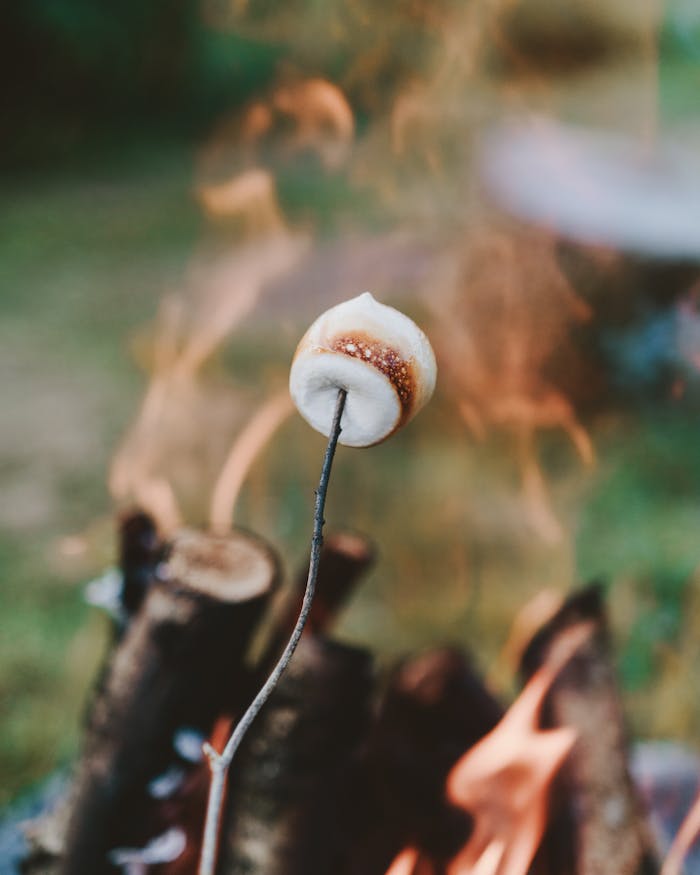 pexels-photo-2929197 Close-up of a marshmallow roasting over an outdoor campfire with flames and wood.
